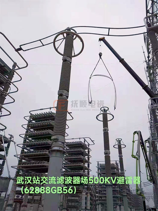 武漢交流濾波器500KV避雷器.jpg